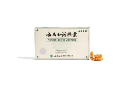 Single package of Yunnan Baiyao Capsules for Dogs